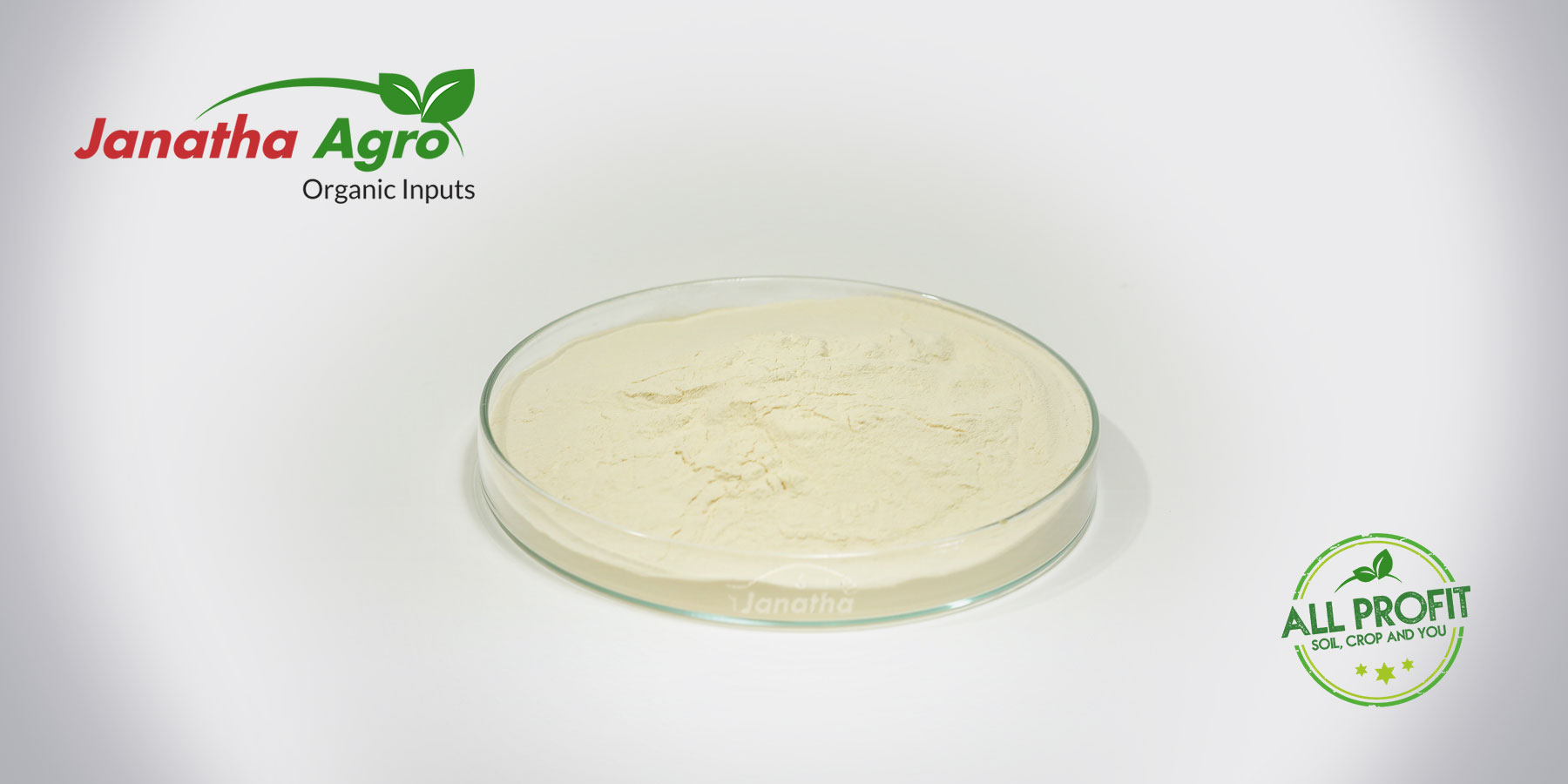 Fish Amino Acid Powder